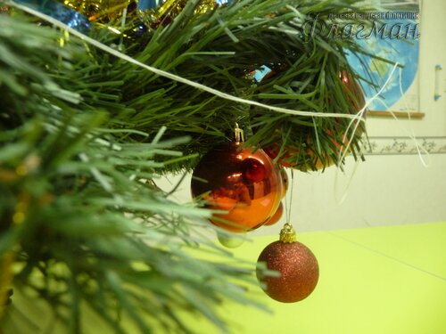 P1140288_новый размер